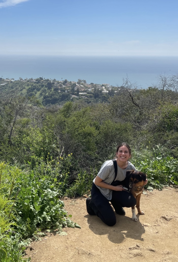 Hiking above the Pacific in Los Angeles with my dog